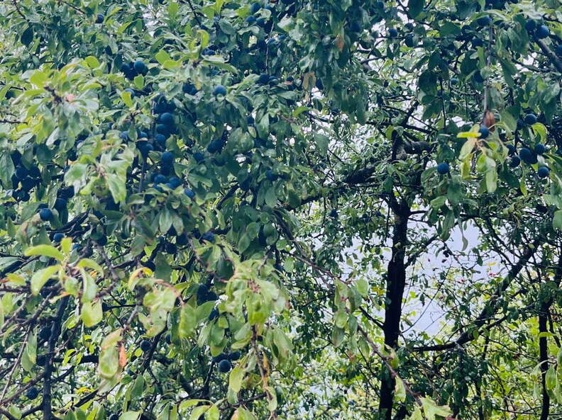 22-09-10 17-07-38 1948